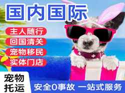 宁波航空物流国际宠物托运 【国